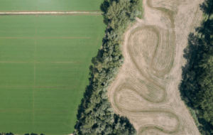 Regenerative Agriculture: Back to the Future